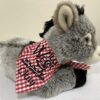Chuy (Donkey) Stuffed Animal 12" - Image 2