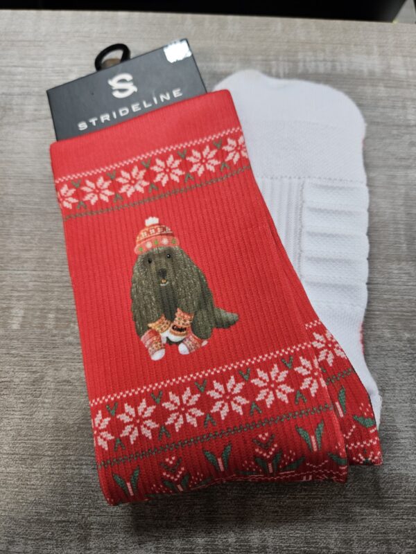 Limited Edition: Cinder Socks (Holiday)