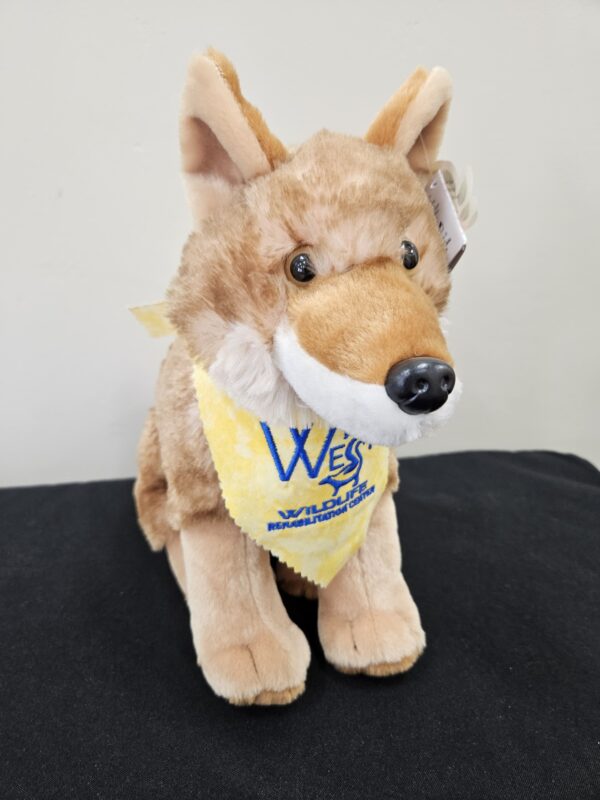 Coyote Stuffed Animal 12"