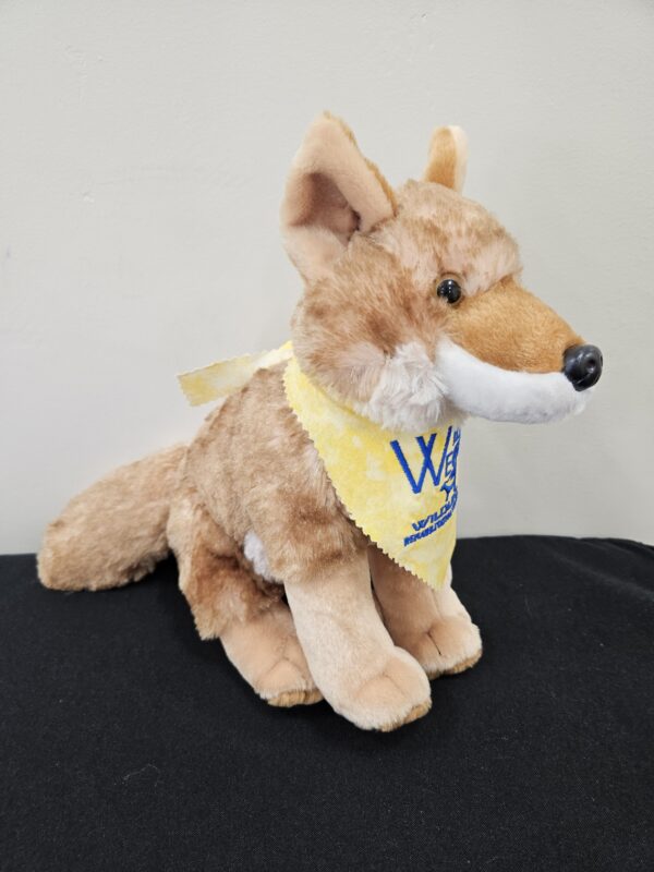 Coyote Stuffed Animal 12" - Image 2