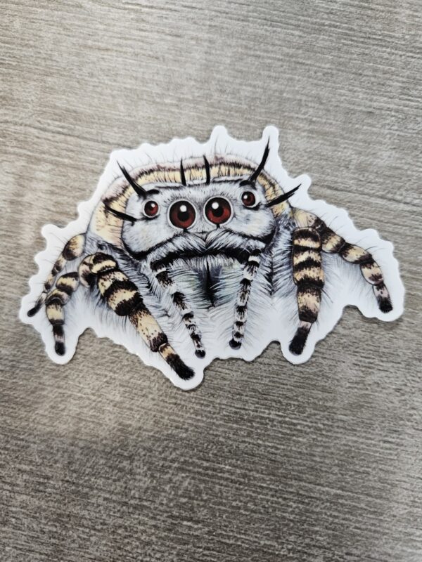 "Jumping Spider Vinyl Sticker" (3")