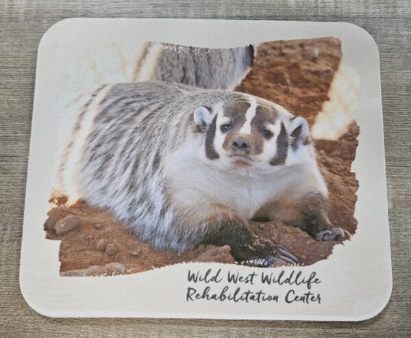 North American Badger (Polly) Mousepad