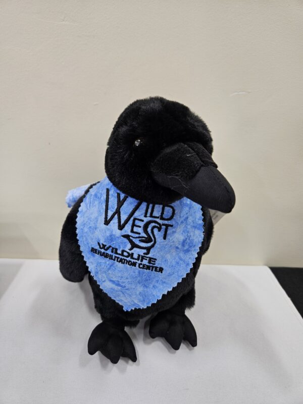 Raven Stuffed Animal 12"