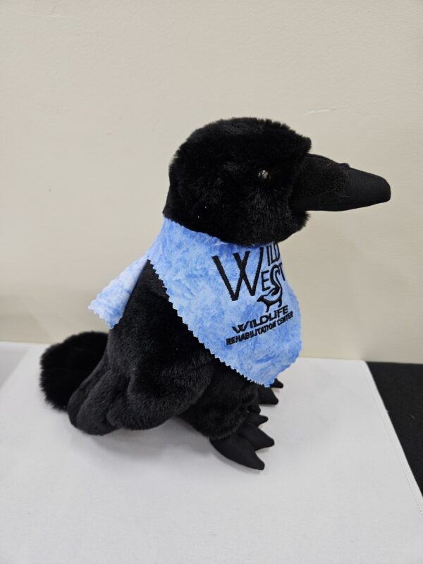 Raven Stuffed Animal 12" - Image 2