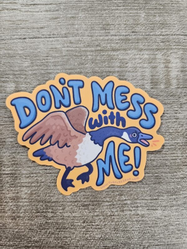 "Don't Mess With Me Vinyl Sticker" (3')