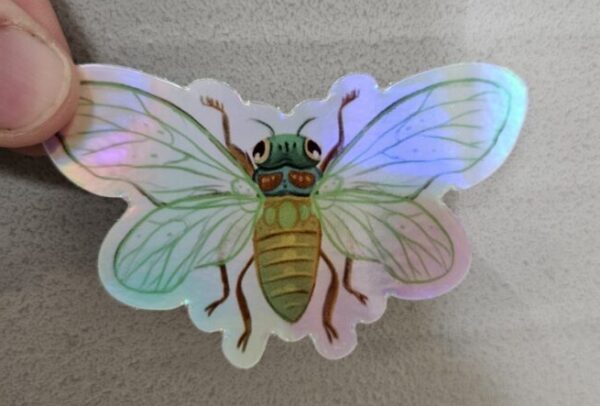 "Cicada Holographic Vinyl Sticker" (3')