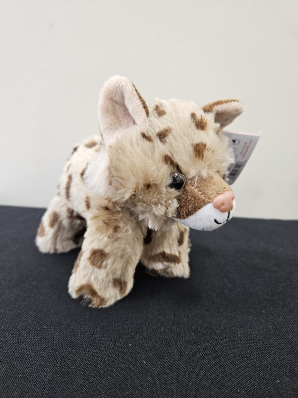 Mini Bobcat Stuffed Animal 6" - Image 2