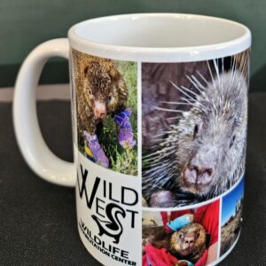 Cinder Coffee Mug