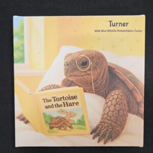 Turner Canvas (Bathroom Edition)